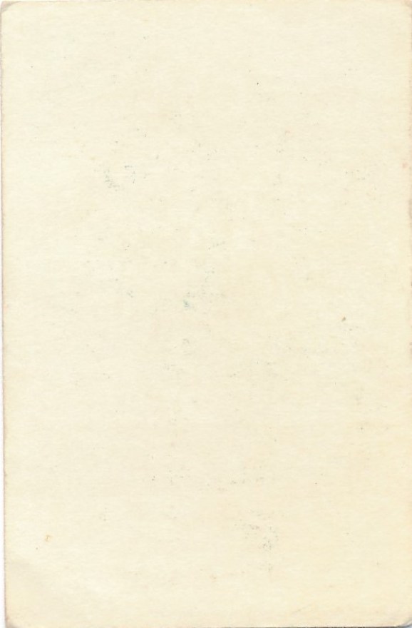 plommons 1b.jpg